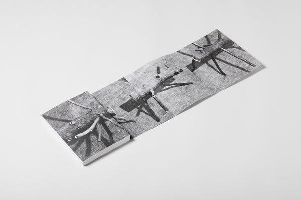 Giuseppe Penone: Spazio di Luce – Whitechapel Gallery