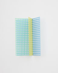 Rana Begum | No.1514 Mesh (2025)
