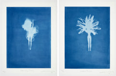 Joy Gregory | Definitely Waving (2025)
