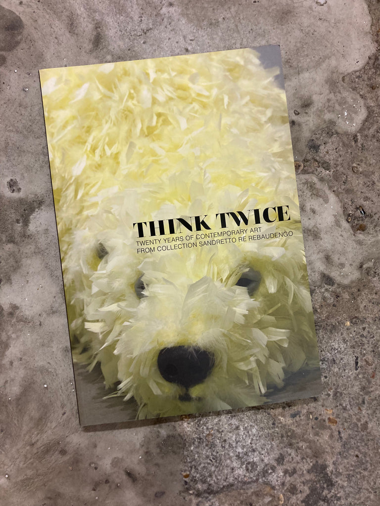 Think Twice: Twenty Years of Contemporary Art from Collection Sandretto Re Rebaudengo