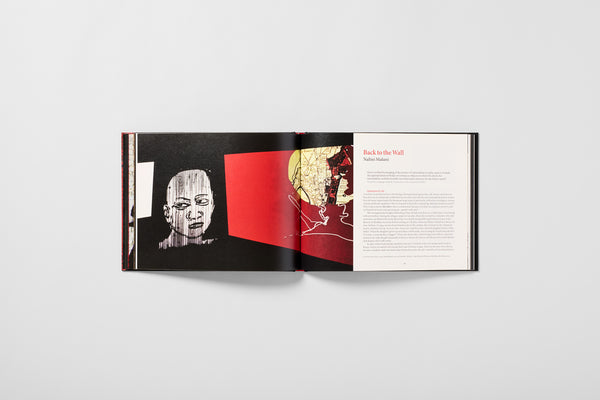 Shop Whitechapel Gallery Books - Nalini Malani: Can You Hear Me?